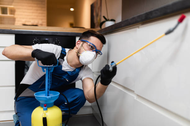 Best Pest Control Near Me  in Muttontown, NY
