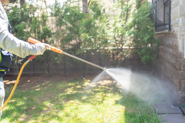 Best Local Pest Control Services  in Muttontown, NY