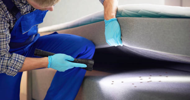 Best Emergency Pest Control  in Muttontown, NY