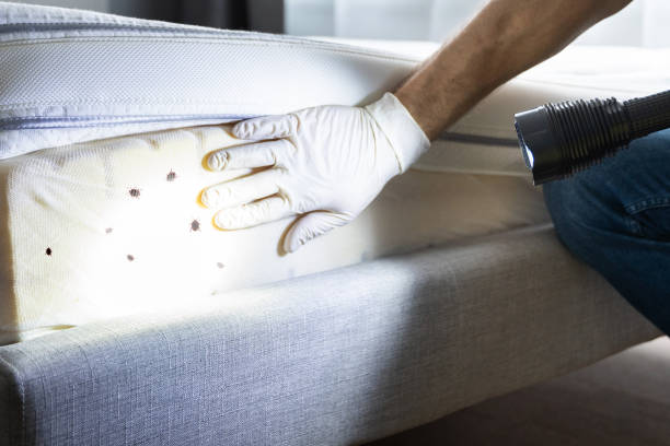Professional Pest Control in Muttontown, NY