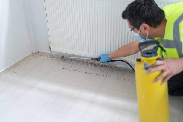 Best Ant Control Services  in Muttontown, NY